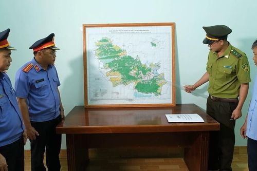 Chương trình Hồ sơ công tố - Kiểm sát: Lá chắn bảo vệ rừng