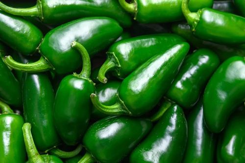Ớt nhập khẩu từ Mexico khiến hàng trăm người tiêu dùng Mỹ nhiễm khuẩn Salmonella