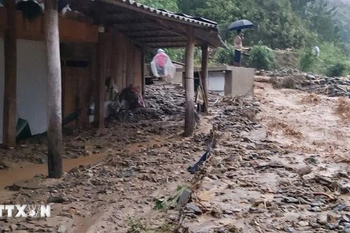 Xuất hiện các cung trượt sạt kèm theo nhiều vết nứt, gãy tại Sơn La