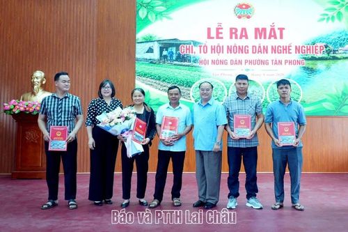 Lễ ra mắt chi, tổ hội nông dân nghề nghiệp phường Tân Phong