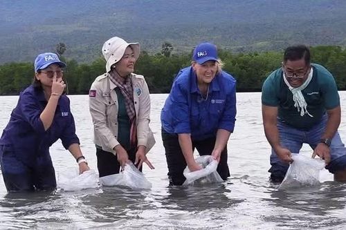 Campuchia tăng cường bảo vệ lao động di cư ngành thủy sản