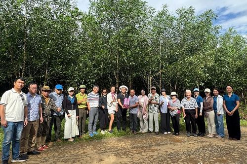 Thúc đẩy phát triển lâm nghiệp bền vững hướng đến Net Zero 2050