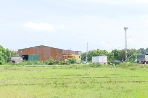 Đề xuất đánh thuế đất bỏ hoang, hạn chế đầu cơ đất nền