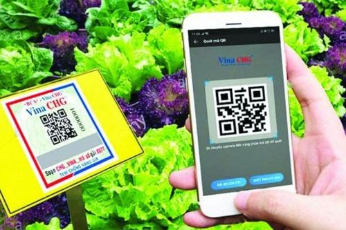 Làm nông nghiệp hữu cơ: Khó hôm nay để dễ ngày mai