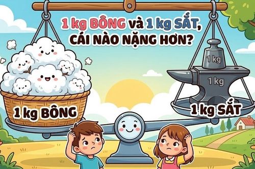 Câu đố hack não: 1 kg bông và 1 kg sắt cái nào nặng hơn