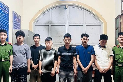 Phá đường dây ma túy 'cỏ' nhắm vào công nhân, học sinh