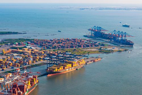 Cá, tôm, cua... vẫn phải 'còng lưng' gánh chi phí logistics