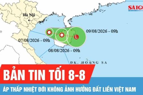 Bản tin tối 8-8: Áp thấp nhiệt đới trên vịnh Bắc bộ đã đi ngược ra khơi xa