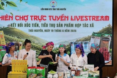 Thái Nguyên lan tỏa giá trị từ khoa học và công nghệ