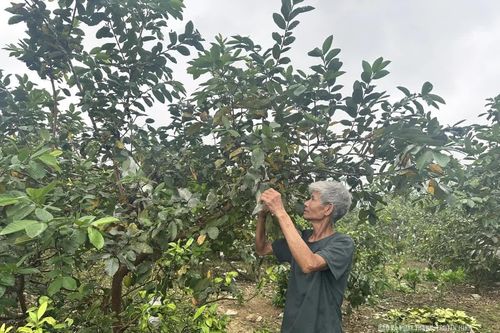 Khơi thông dòng vốn cho phát triển kinh tế địa phương