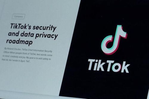 EU yêu cầu Meta, TikTok quyết liệt ngăn chặn tin giả