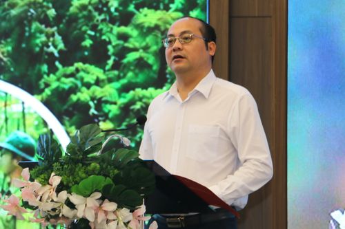 Mở hướng phát triển thị trường tín chỉ các-bon rừng cho Điện Biên