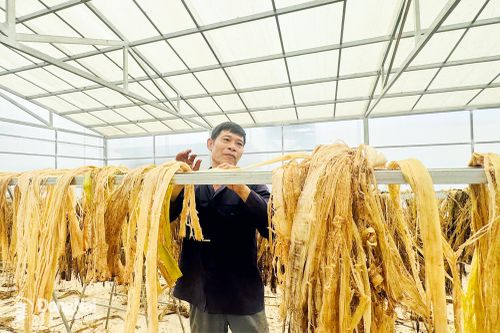 Nâng tầm trái cây Việt