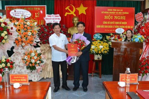 Trao quyết định bổ nhiệm Giám đốc Ban Quản lý rừng phòng hộ Gia Lai