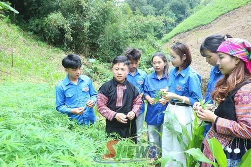 Tuổi trẻ khát vọng khởi nghiệp trên quê hương