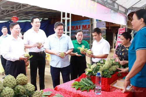 Khai mạc Tuần lễ Na Núi đá phường Hà Giang 2