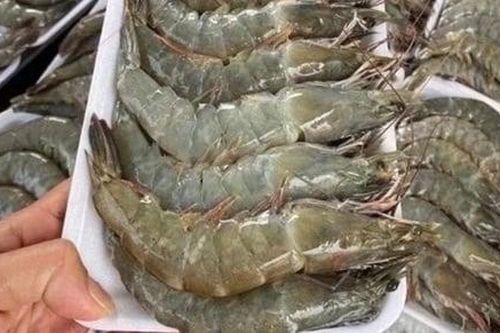 Doanh nghiệp Ba Lan tìm nguồn cung tôm Việt Nam