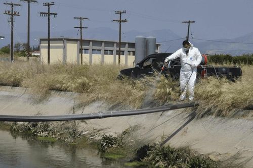 Muỗi mang virus West Nile đang lan rộng ở châu Âu: Hàng trăm ca bệnh, nhiều nước báo động