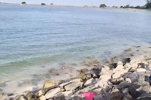 Đang đi bơi, nam sinh 13 tuổi bị thứ 'đáng sợ' dưới biển cắn tử vong