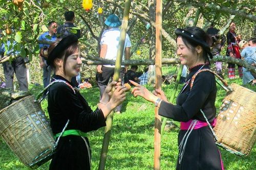 Rộn ràng chuỗi hoạt động 'Hồng Thái với Mùa thu Tháng Tám'