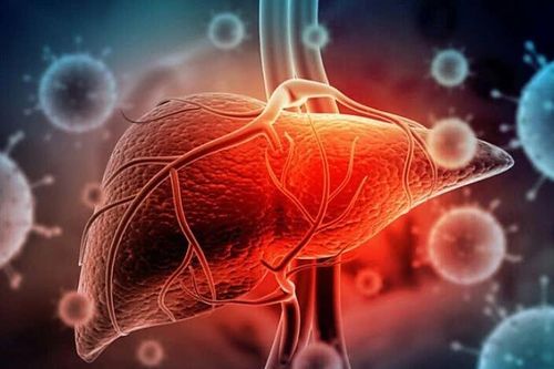 Phát hiện cách thức ung thư gan di căn né tránh hệ miễn dịch