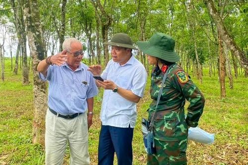 Xác minh thông tin mộ liệt sĩ tập thể ở Cồn Tiên