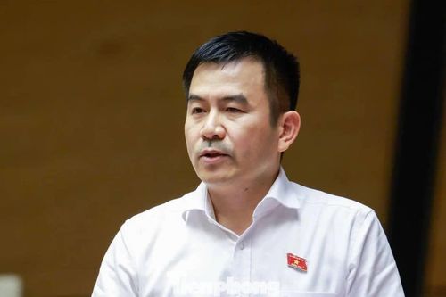 Từ hiện tượng giang hồ mạng, đại biểu Quốc hội đặt câu hỏi về trách nhiệm