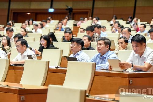 Đoàn đại biểu Quốc hội tỉnh thảo luận tại hội trường về các dự án luật