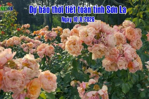Dự báo thời tiết toàn tỉnh Sơn La ngày 10/8/2026