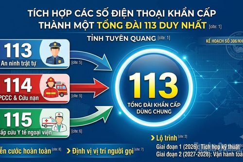 Tích hợp các số điện thoại khẩn cấp 113, 114, 115 thành một tổng đài 113 duy nhất