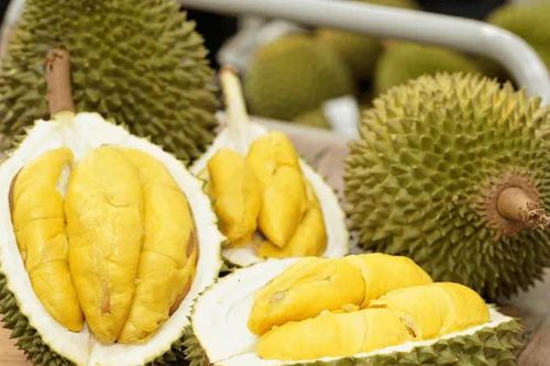 GACC chấp nhận 50 cơ sở kiểm nghiệm phục vụ xuất khẩu sầu riêng, mít sang Trung Quốc