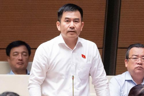 Từ vụ bắt 'giang hồ mạng', ĐBQH đề nghị quy định trách nhiệm các nền tảng số