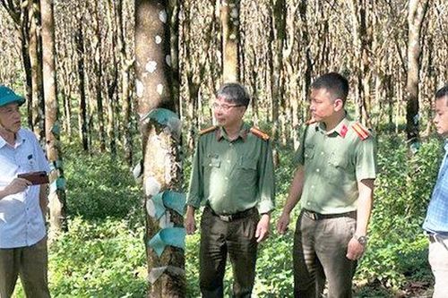 Quy định về nguyên tắc kết hợp an ninh với kinh tế - xã hội