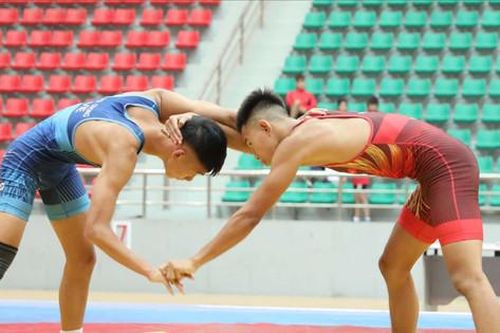 Gần 800 vận động viên tranh tài đấu vật cấp quốc gia