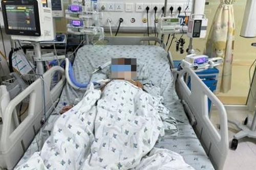 Ba chị em ngộ độc sau nhiều ngày ăn chuột đồng