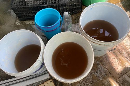 Hàng trăm hộ dân 'gánh' thêm chi phí vì nước nhiễm phèn
