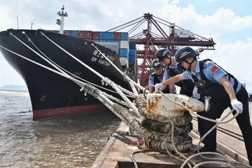 Trung Quốc, Nhật Bản ứng phó bão Dolphin