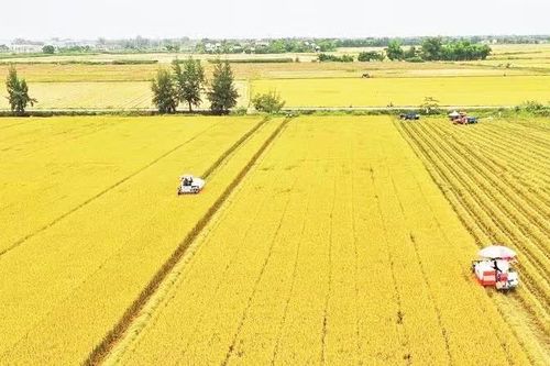 Cơ giới hóa sản xuất
