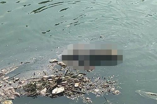 Phát hiện thi thể người đàn ông nổi trên sông Tô Lịch