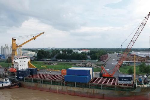 Sắp có tuyến vận tải container nối trực tiếp Cần Thơ - Trung Quốc