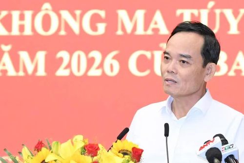 Từng lãnh đạo xã, phường ở TPHCM phải biết rõ nơi khu trú và đối tượng về ma túy