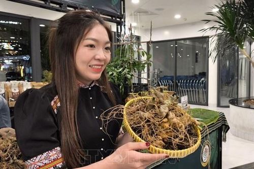 Khi sinh viên mang chuyển đổi số lên miền núi