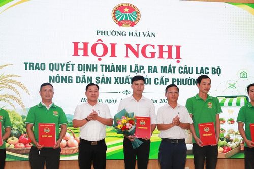 Hướng dẫn nông dân phường Hải Vân lên sàn, bán hàng bằng livestream
