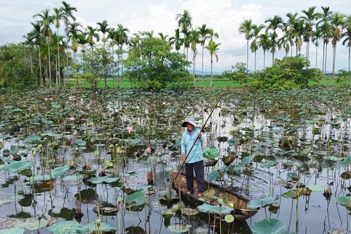 Sức sống mới từ lòng dân đồng thuận