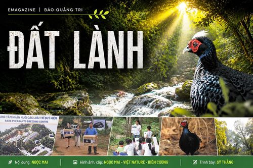 Đất lành