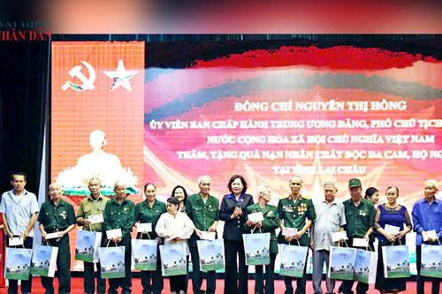 Phó Chủ tịch Quốc hội Nguyễn Thị Hồng thăm, tặng quà hộ nghèo, nạn nhân chất độc da cam tại xã Bình Lư, Lai Châu