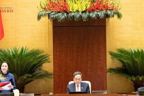 Bảo đảm cân đối với nhu cầu nhân lực chất lượng cao trong nước