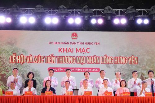 Lan tỏa giá trị, mở rộng thị trường cho nhãn lồng Hưng Yên