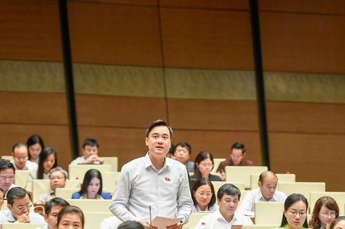 ĐBQH Trần Văn Đăng (Bắc Ninh): Bảo đảm tính thống nhất, khả thi về trách nhiệm bồi thường của Nhà nước