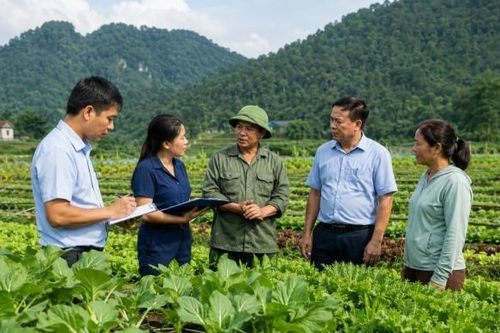 Tuyên Quang đề nghị lựa chọn, đề cử điển hình tiên tiến phát triển nông nghiệp hữu cơ